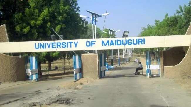 UNIMAID bomb blast: 6 things you need to know about the event