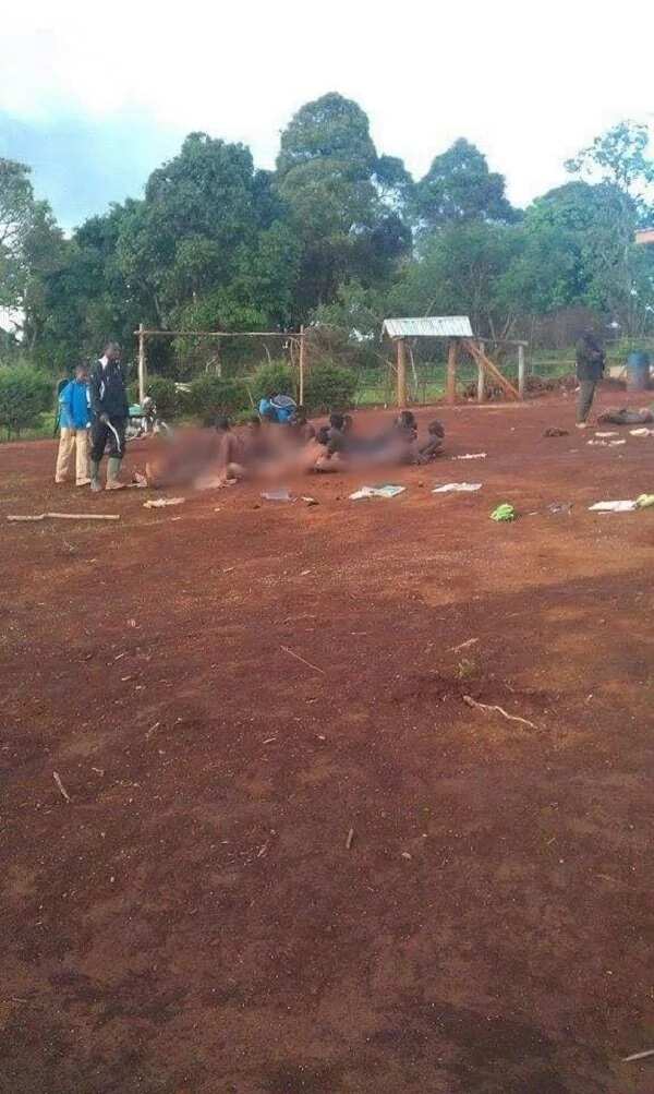 What nonsense? Teachers strip their male and female students half naked to flog them for coming late at a public school in Cameroon