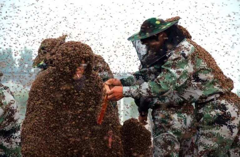 Man Covered In 100kg Of Bees Sets World Record