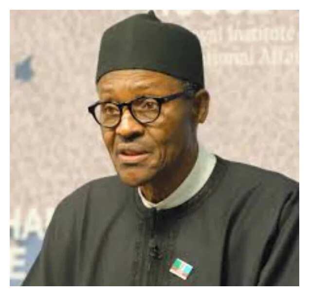 Don’t allow indicted APC members go unpunished, Nigerian write open letter to Buhari