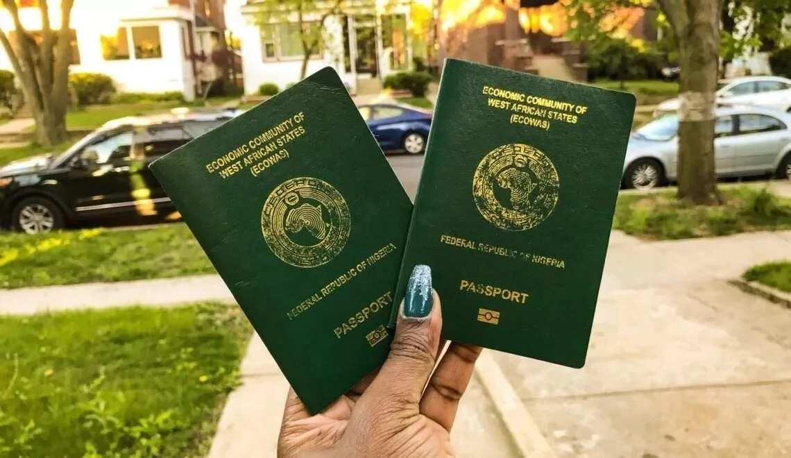 Ways Of Acquiring Citizenship In Nigeria Legit ng