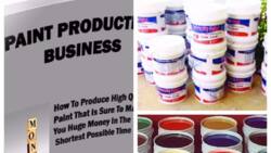 How to produce paint in Nigeria and make a business with it?