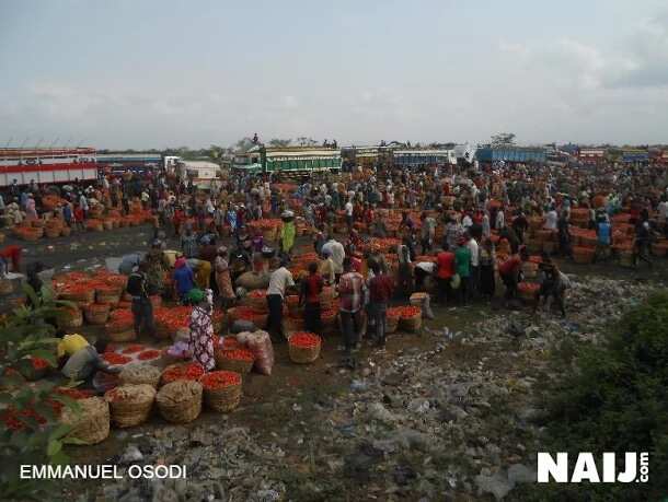 Hausa traders relocate to unhealthy location after crisis