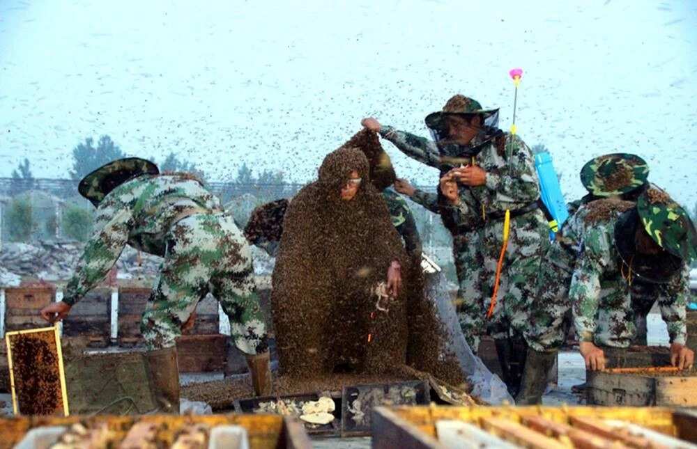 Man Covered In 100kg Of Bees Sets World Record