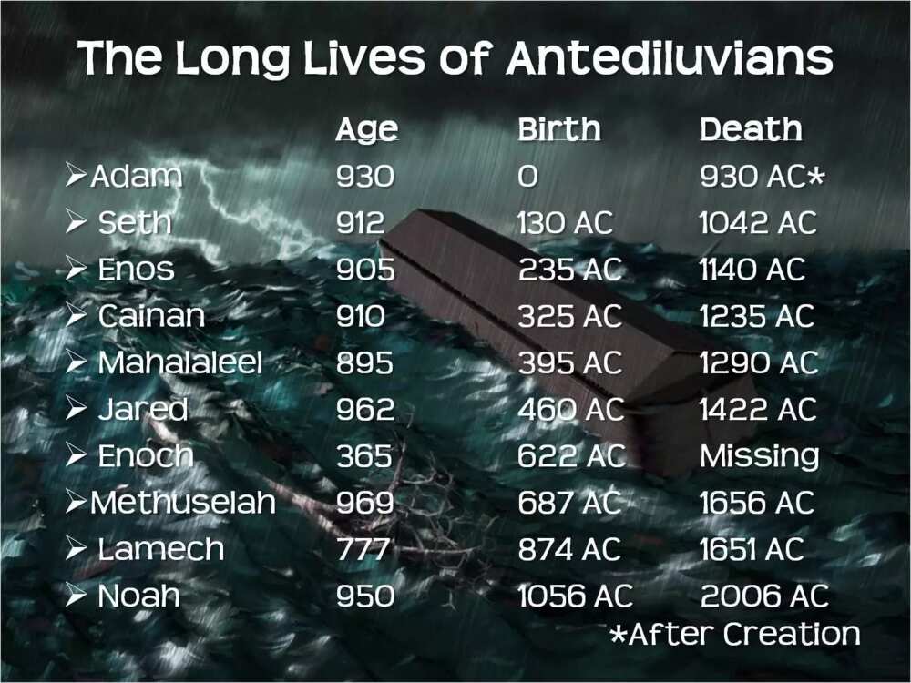 10 Oldest Men In The Bible Legit Ng