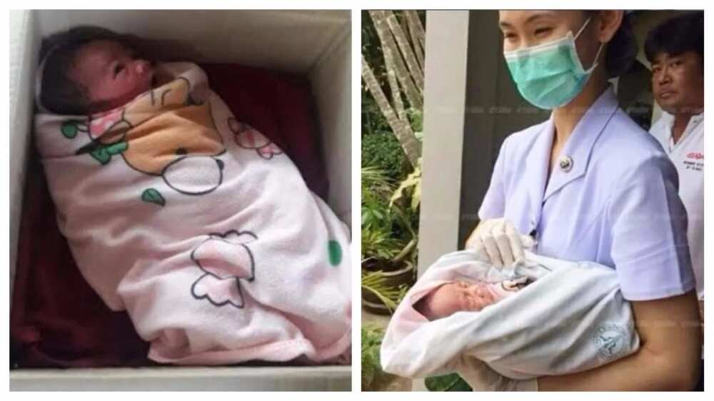 New born baby found dumped in a carton outside a house (photos)