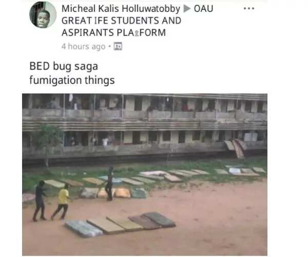 See the living conditions of some Obafemi Awolowo University students (photos)