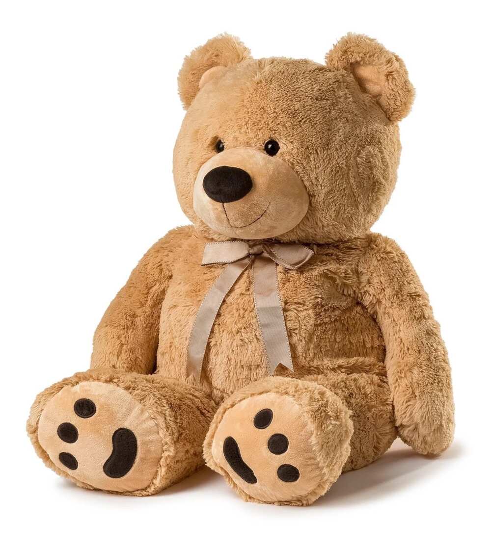 Bear toy