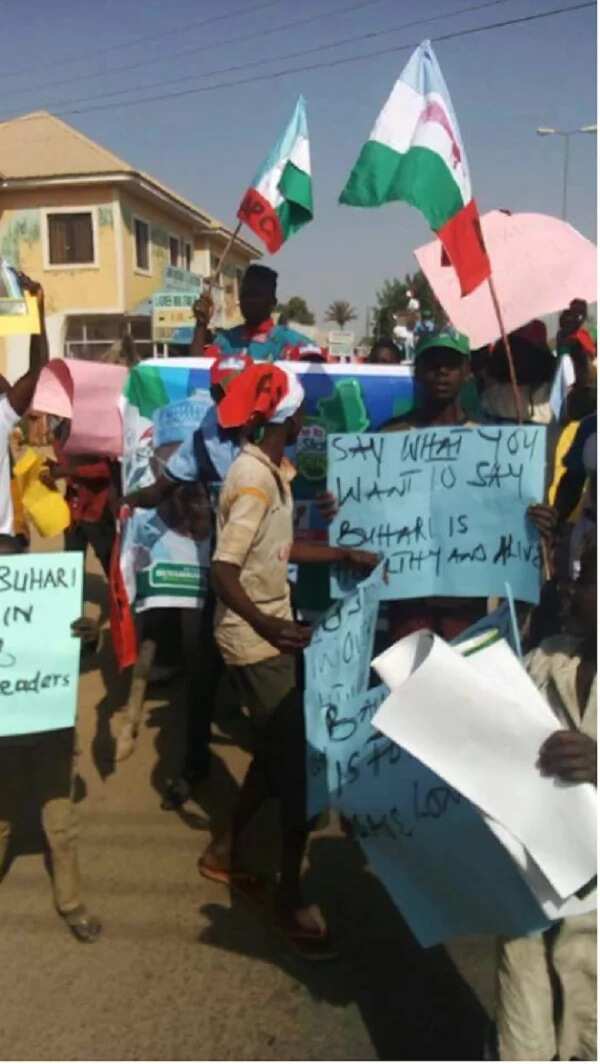 Buhari cannot die! Bauchi youths storm streets in support of president (Photos)