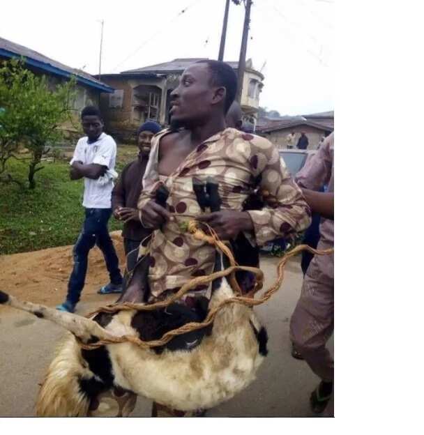 30-year-old man steals Sallah ram in Osun state