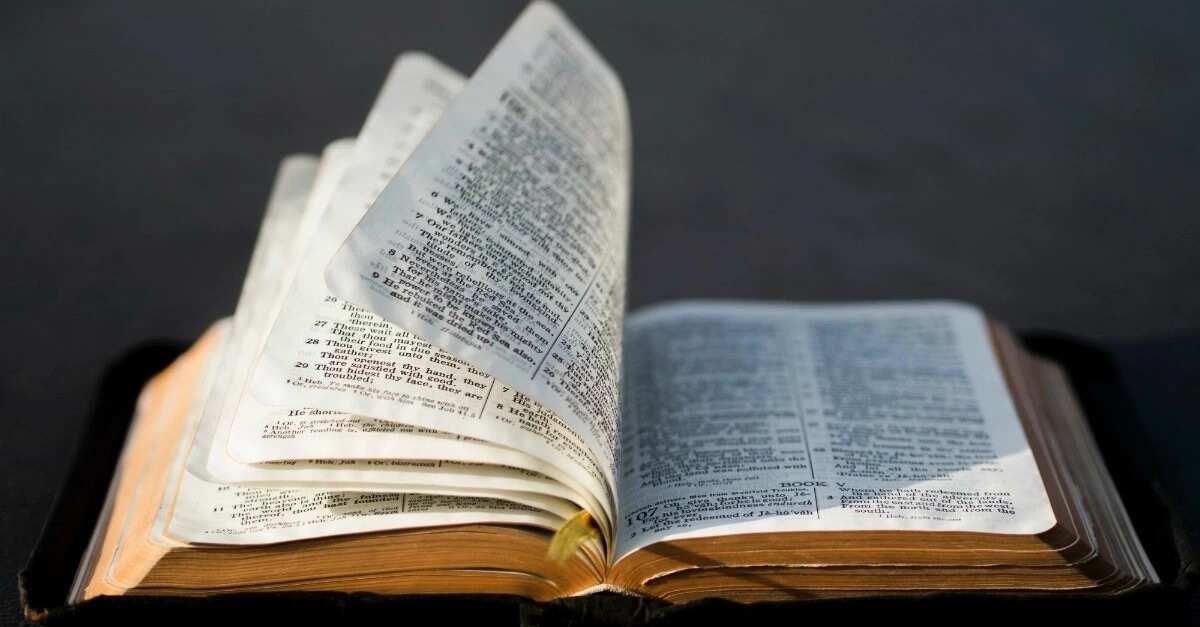 Longest chapter in the bible