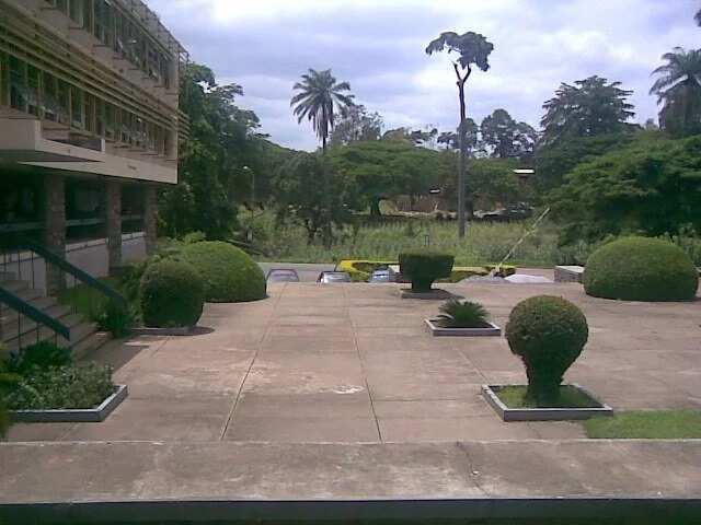 Oldest university in Nigeria ibadan