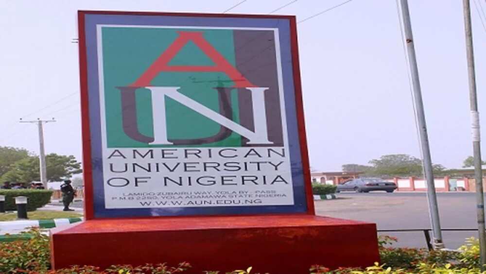American University of Nigeria Fees
