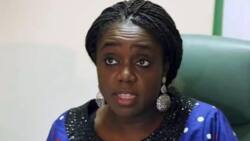 Why Nigeria has enough capacity to repay her N21.7tn debt - Adeosun
