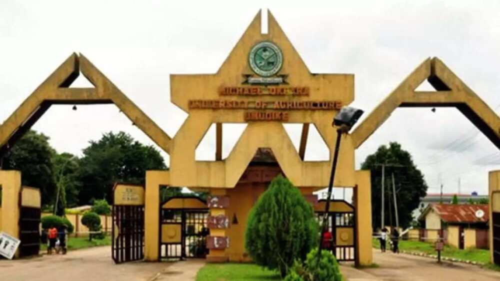 Best university to study economics in Nigeria