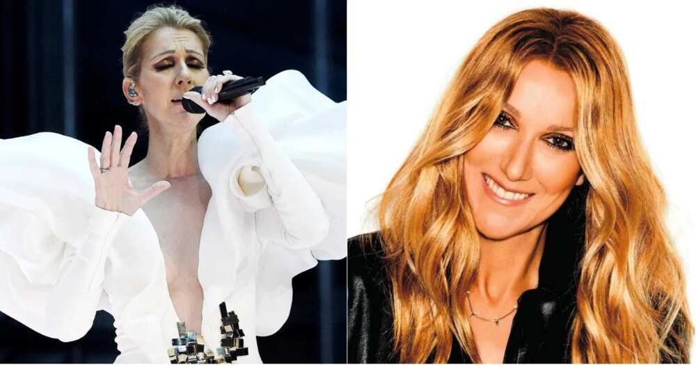 Celine Dion net worth and path to success