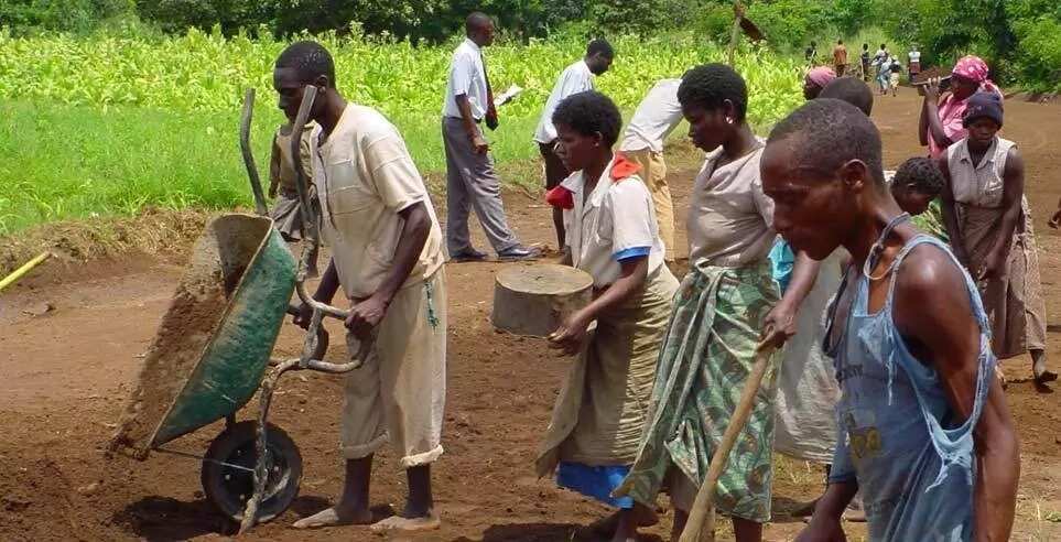 Malawians Malawians