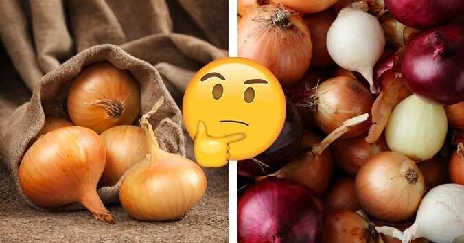 Benefits of eating raw onions everyday