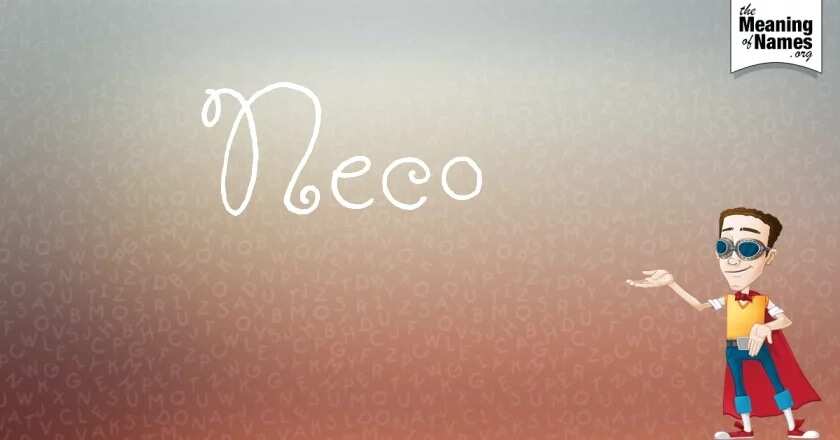 The word NECO