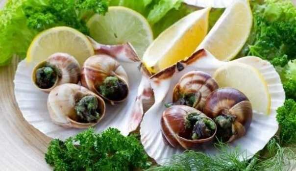 Health benefits of snail meat
