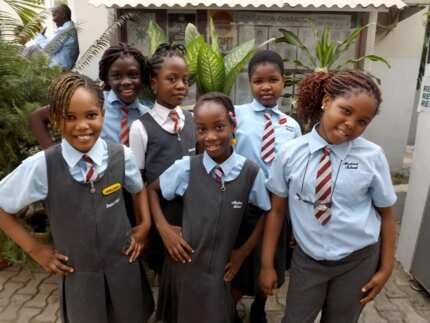 Best school uniforms in Nigeria Legit.ng