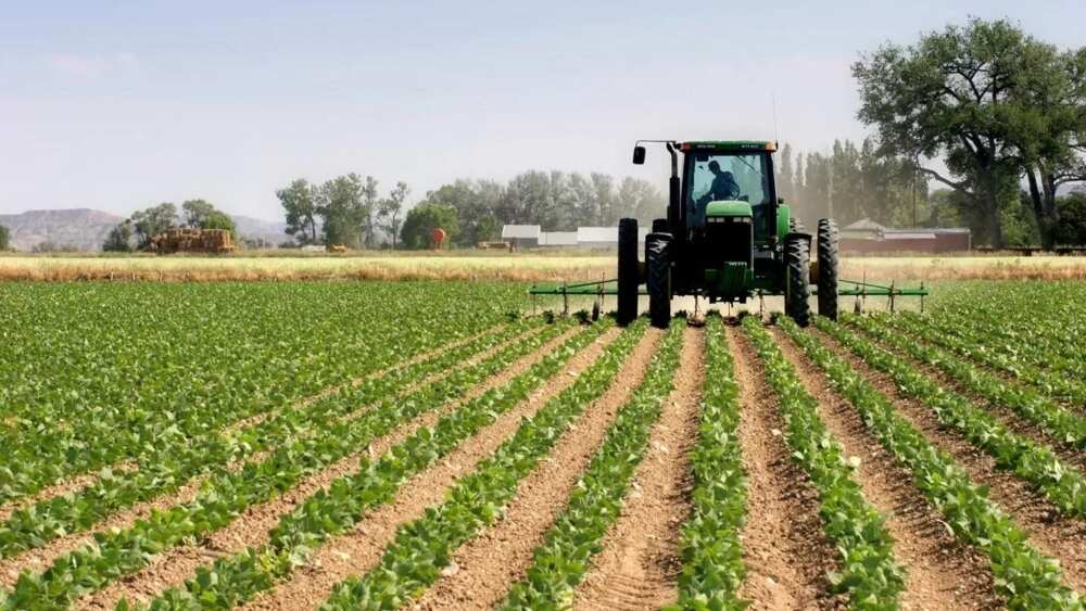 Agricultural grants in Nigeria