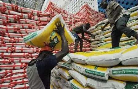 Traders from Chad, Cameroon and Niger rush to Kebbi for rice