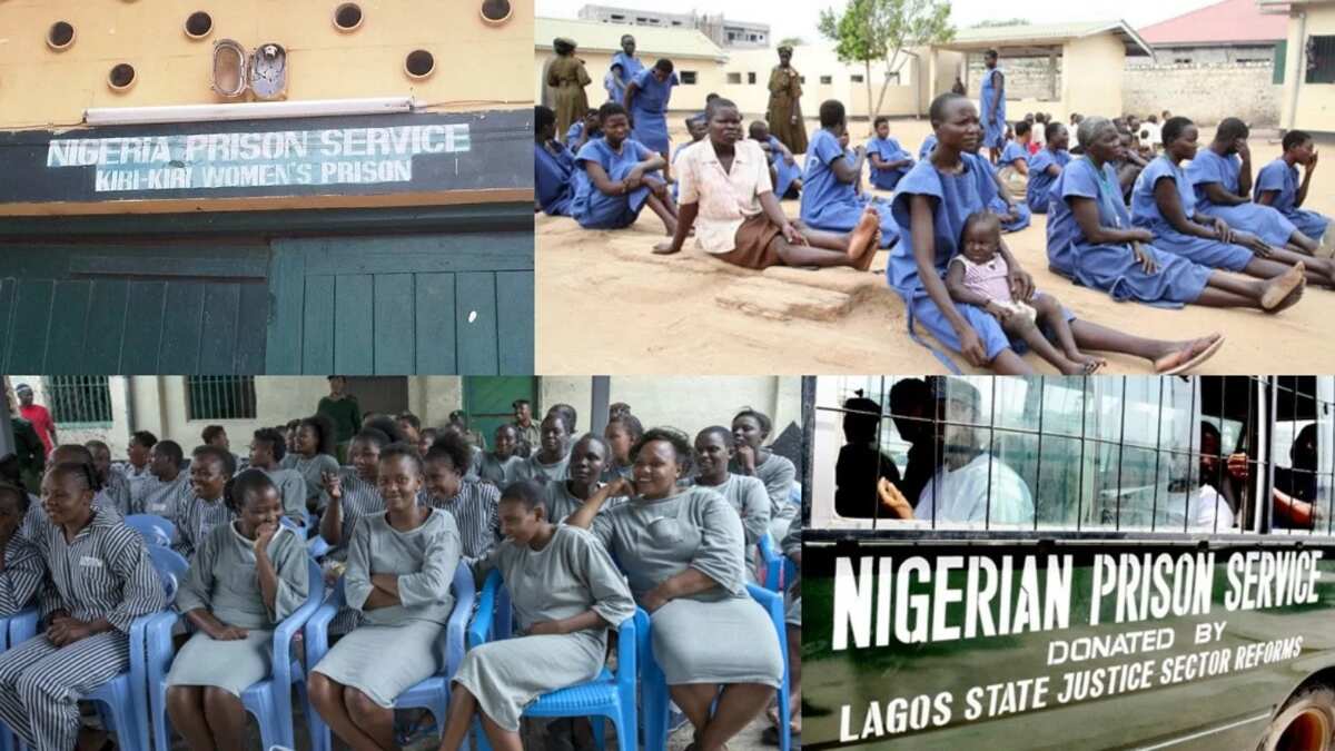 Image result for nigerian prison service