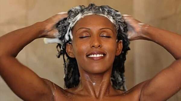 Raw shea butter for hair growth