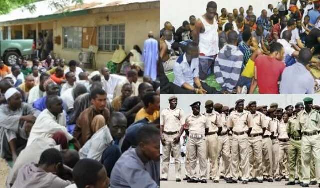 Nigeria government deports 792 illegal immigrants