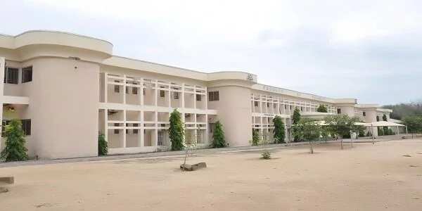 Courses offered at the University of Maiduguri