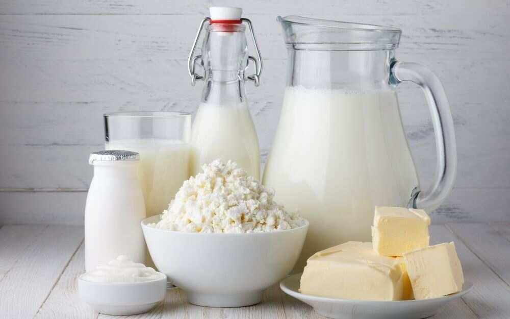 Milk is a product that must be included in the diet Milk is a product that must be included in the diet