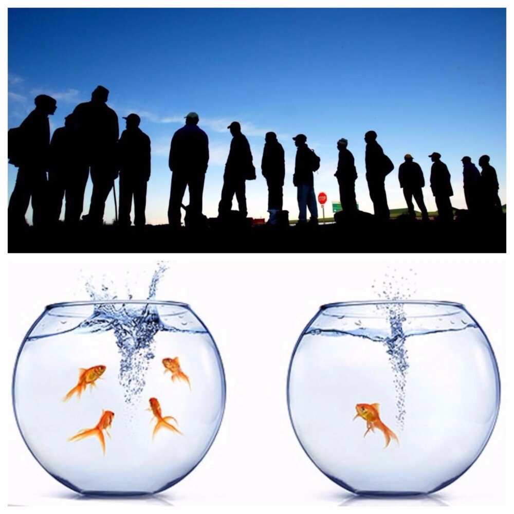 Types of migration policies Types of migration policies