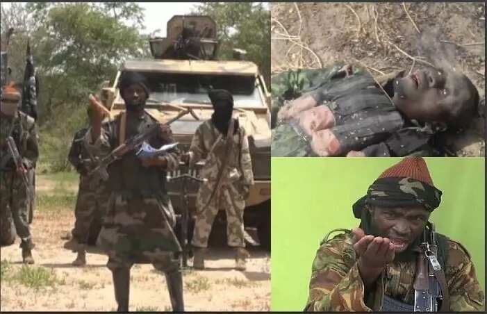 Just in: Senior Boko Haram commander reportedly killed in Borno (Photo)