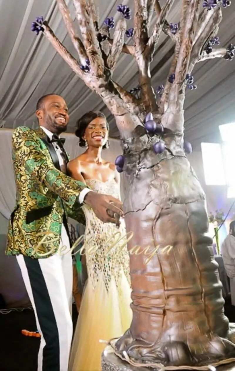 Nigerian wedding cakes: Bizarre designs -baobab