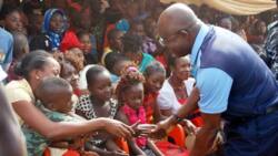 What is David Mark Scholarship program?