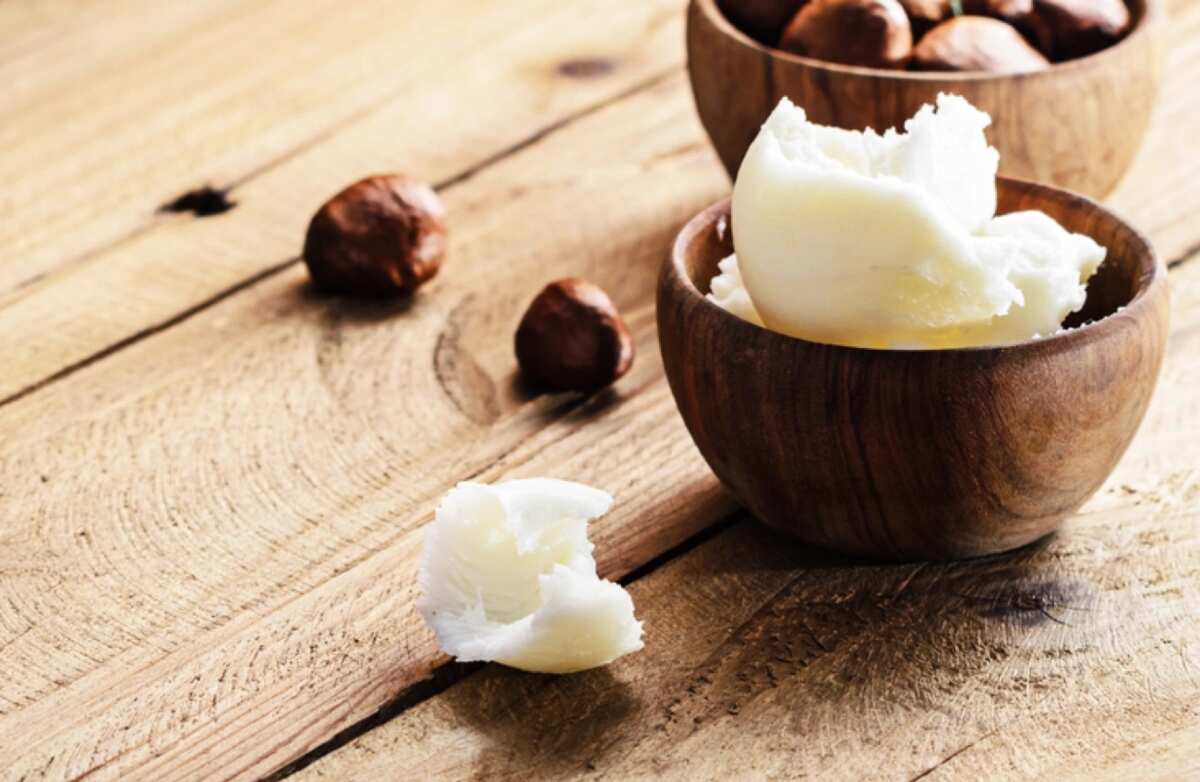 Is shea butter edible for humans? Legit.ng