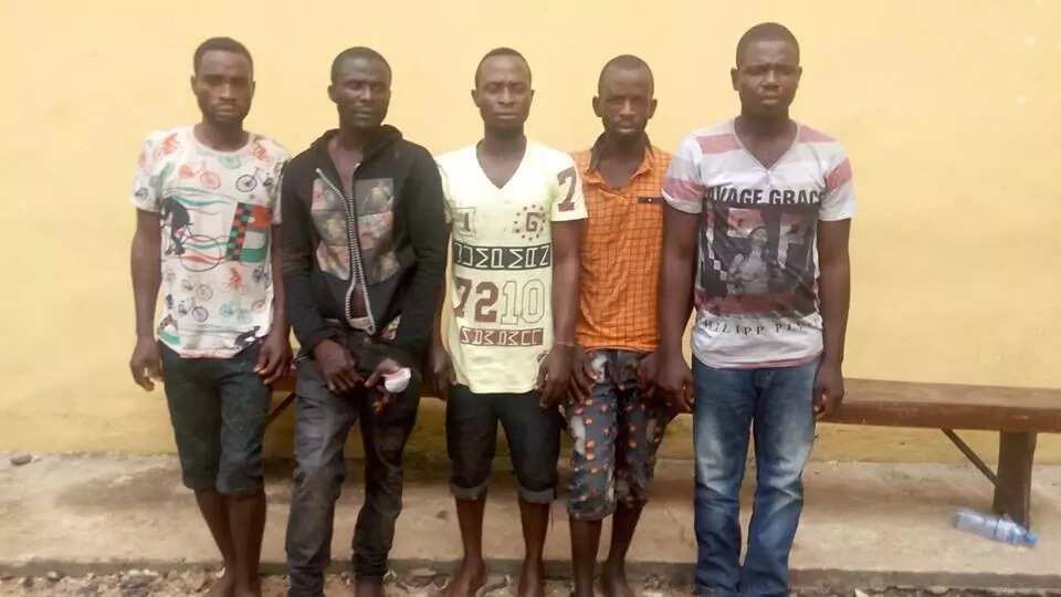 Yan bindiga sun sace sakataren Jama’atu Nasril Islam Yan bindiga sun sace sakataren Jama’atu Nasril Islam
