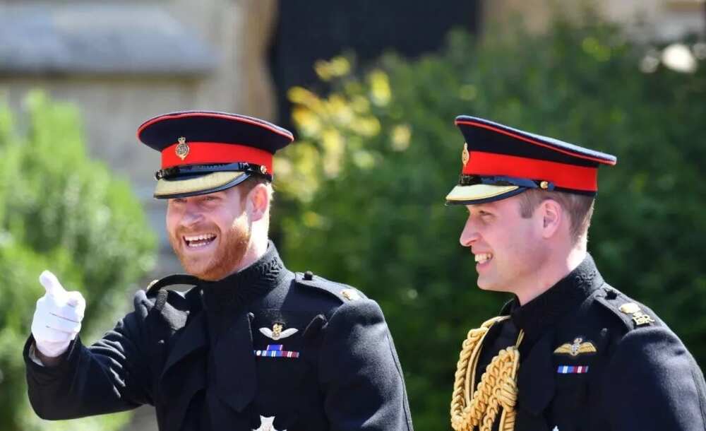 All you need to know about the royal wedding