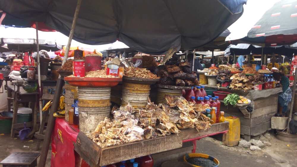 Price of ogbono, crayfish and stock fish still on the rise at Ijora 7 UP market, Lagos. Source: Esther Odili. Price of ogbono, crayfish and stock fish still on the rise at Ijora 7 UP market, Lagos. Source: Esther Odili.