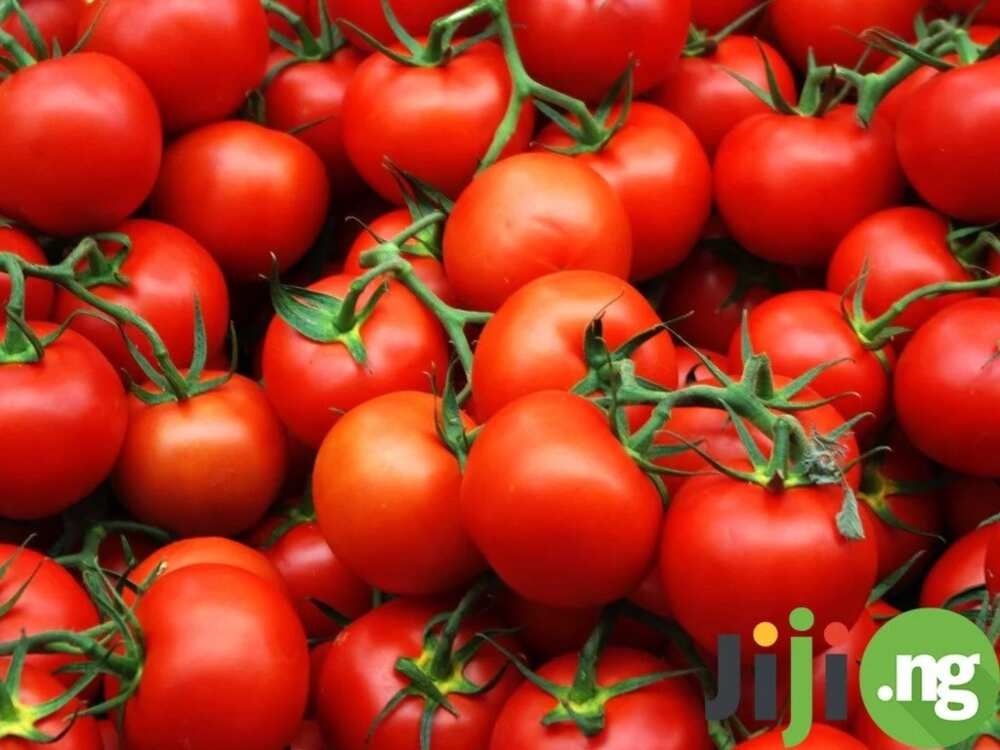 Top 11 easily accessible foods that are great for you Top 11 easily accessible foods that are great for you