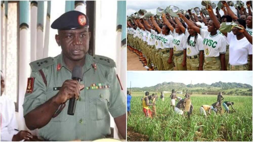 NYSC to post corps members to farms - Official