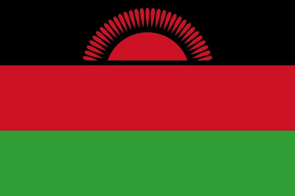 Flag of Malawi