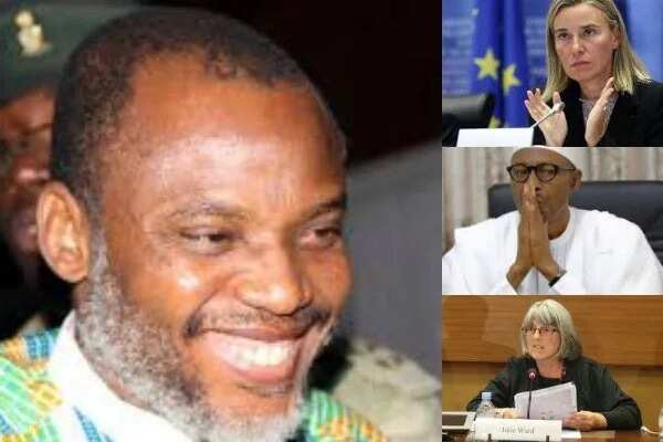 Biafra: 16 member of European parliament ask EU to challenge Buhari, DSS