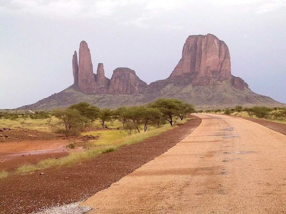 Three major types of vegetation in Nigeria, Sahel savanna Three major types of vegetation in Nigeria, Sahel savanna
