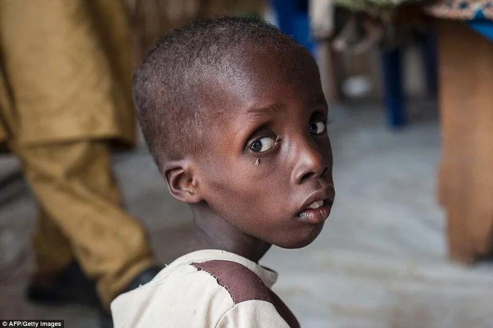 Malnutrition crisis hits IDP camps in Borno