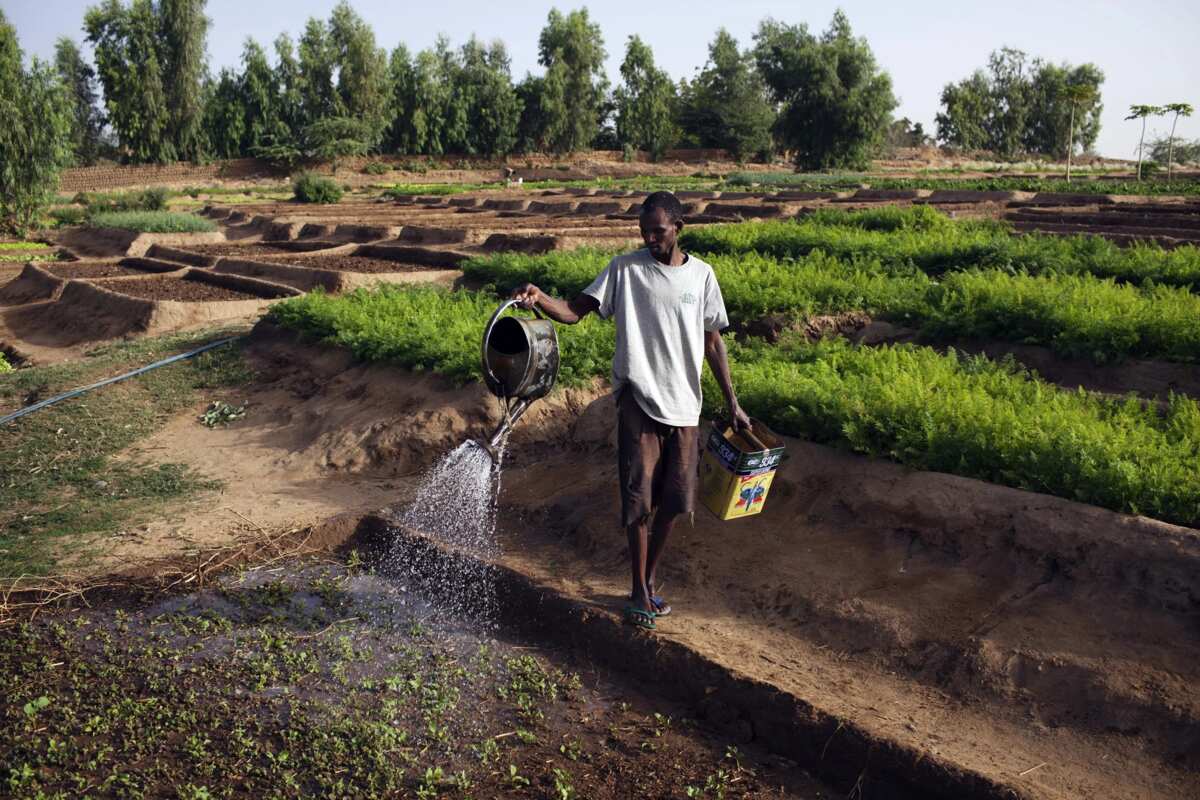 nigerian-agriculture-john-englander-sea-level-rise-expert