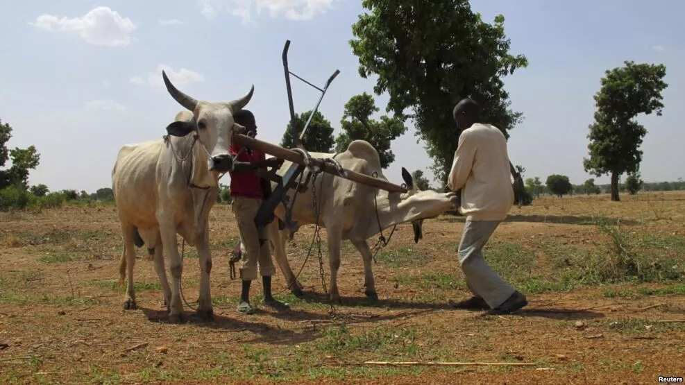 Nigerian central states