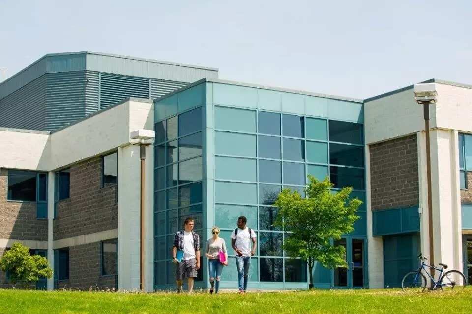 Lambton College fees for international students