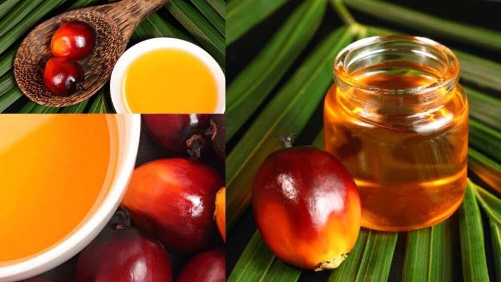 Palm kernel oil for skin lightening 